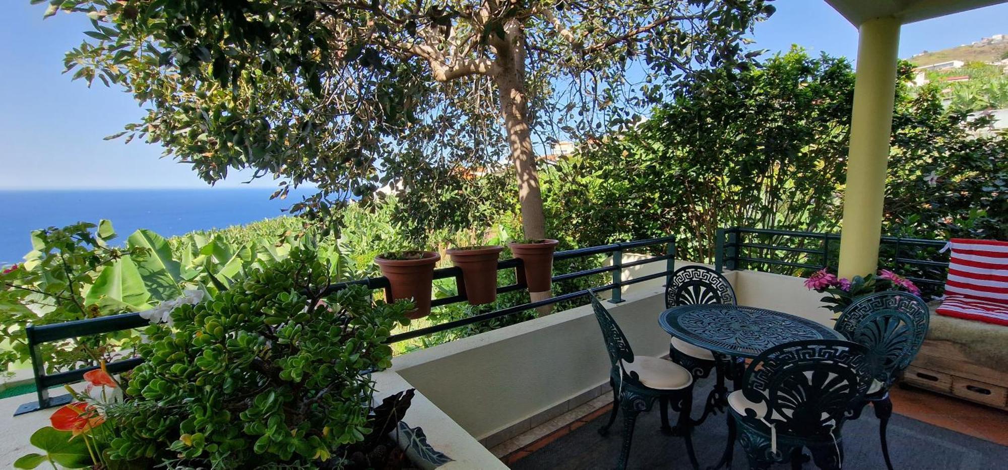 Sunny Arco Retreat Διαμέρισμα Arco da Calheta  Εξωτερικό φωτογραφία